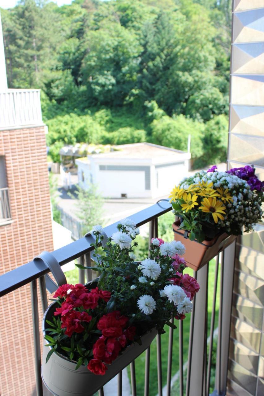 Appartement Elegant Et Lumineux Romainville